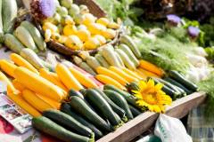 11722429_10153163566228800_3145317238749418094_o