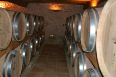 DSC_0264_1-988x800-1