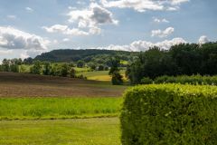 D61_9779_1920px